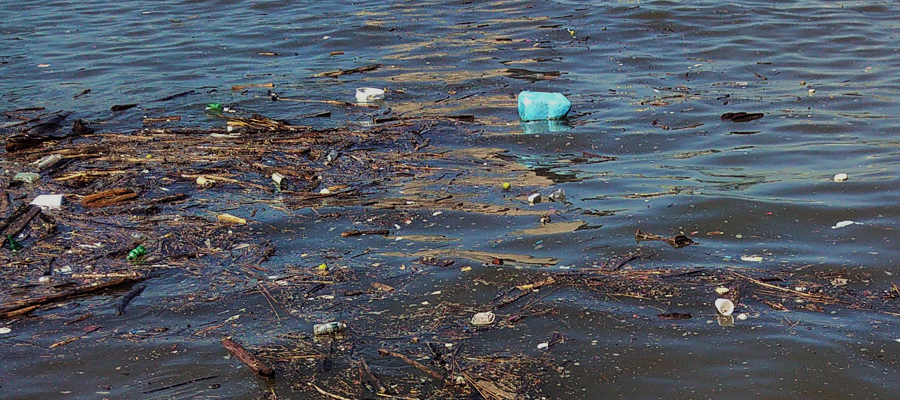 plastic bottles floating on the Hudson River
